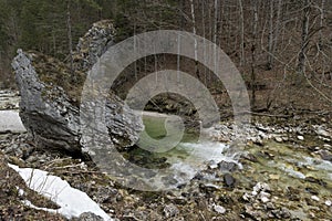 Water small alpine stream