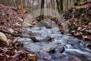 Water in stream on walking path in German forest