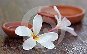 Water soaked Plumeria