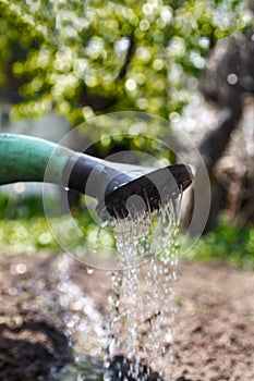 Water the soil from the watering can. Close-up, concept gardening, yard work