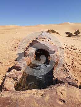 Water source in Algerian Desert