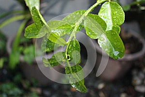 Water is the source of life, a gift from God