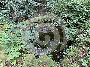 Water source of the Zagorska Pec in Desmerice or Zagorska Cave water spring - Ogulin, Croatia / Izvor vode Zagorska PeÄ‡