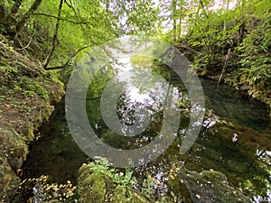 Water source of the Zagorska Pec in Desmerice or Zagorska Cave water spring - Ogulin, Croatia / Izvor vode Zagorska PeÄ‡