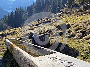 Water sources and cattle drinkers on pastures in the Alpine valley of the Eigental, Eigenthal - Canton of Lucerne, Switzerland