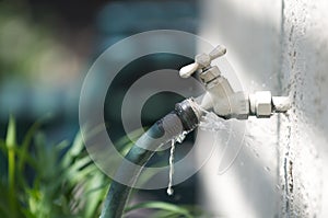 A water spigot with a green hose springs a leak