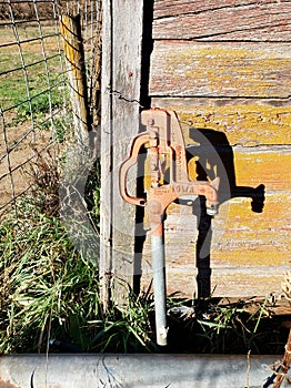 Water spigot outside of barn next to farm animals and fencing