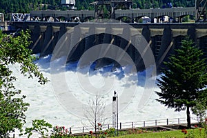 Water spills through the turbines of the Bonneville Dam