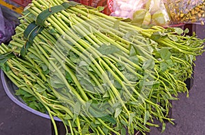 Water spinach or morning glory in market