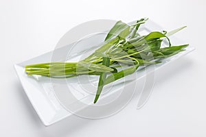 Water spinach , Morning Glory on white background