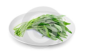 Water spinach in plate isolated on white background