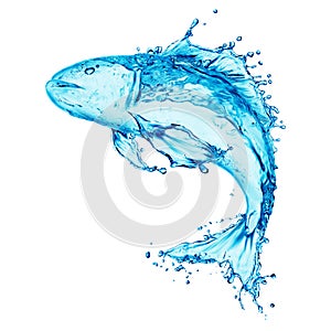 Water splash,fish