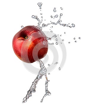 Water splash with nectarine isolated