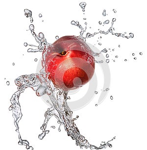 Water splash with nectarine isolated