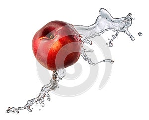 Water splash with nectarine isolated