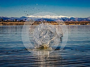 Water Splash in Rippled Lake Water