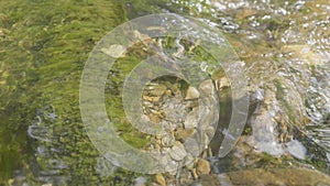 Water splash in river. Water in river close up with bubbles. Water bubbles floating on the surface of the river close-up