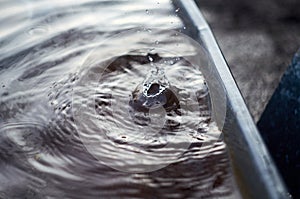 Water splash time is stopped