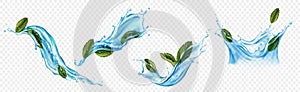 Water splashes with menthol or mint leaves set