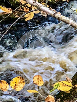 Water splashing over rocks background