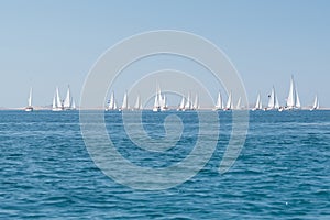 Sailing yacht regatta race photo