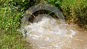 Water spouts from the ground