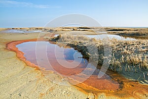 Water spring in the dunes