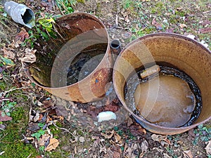 Water spring in old bucket