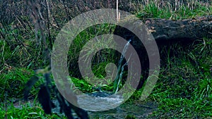 Water spring with wooden channel.