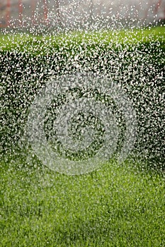 Water sprinkers in a field.