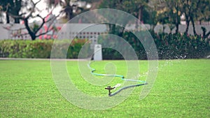 Water Sprinkle watering on green grass garden backyard.