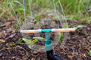 Water sprinkler