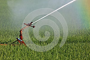 Water sprinkler system irrigating a farm field