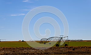 Water sprinkler system working on a plantation