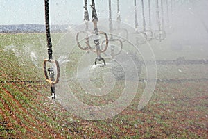 Water sprinklers