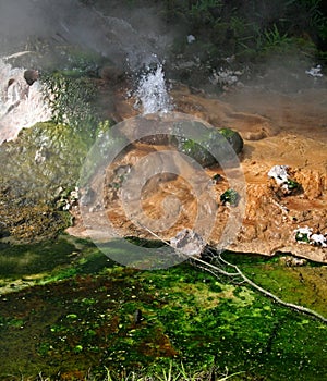 Water spurting from a geyser