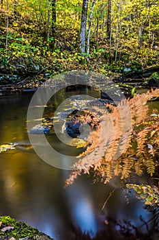 Water and stone