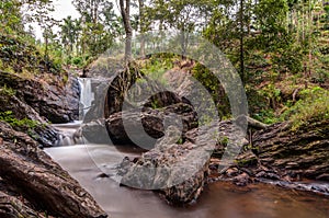 Water stream amidst trees