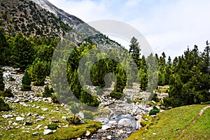 Water Stream in Beyal Camp grassland