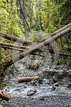 Water stream in Demanovska valley in Low Tatras, Slovakia, hiking theme