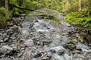 Vodný tok v Demänovskej doline v Nízkych Tatrách, téma turistika