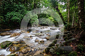 Water stream flow in forest Sungai Sedim photo