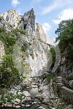 Gorge flowing stream photo