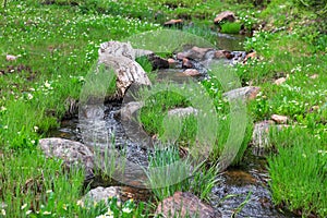 Water stream flowing to Crystal lake in Wasatch national forest in Utah