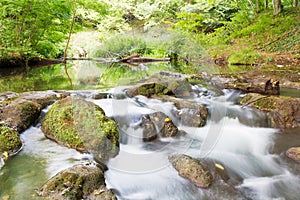 Flusso d'acqua foresta 