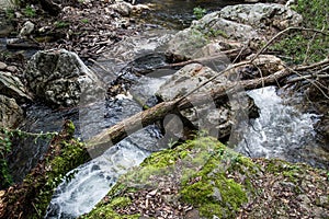 Water Stream in the Forest at FigueirÃÂ³ dos Vinhos, Portugal photo