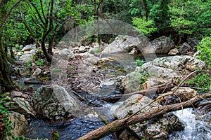 Water Stream in the Forest at FigueirÃÂ³ dos Vinhos, Portugal photo