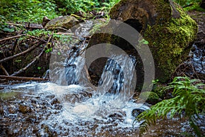 Water flowing through the middle of a tree trunk