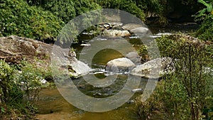 Water stream frothing on rocks in a river bank by the forest