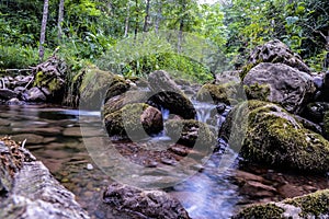 Water stream in the green nature